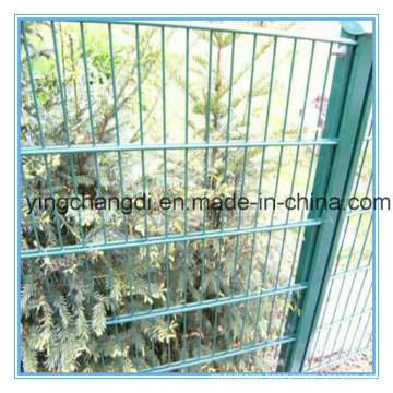 Low Carbon Steel Wire Mesh/Double Wire Mesh Fence